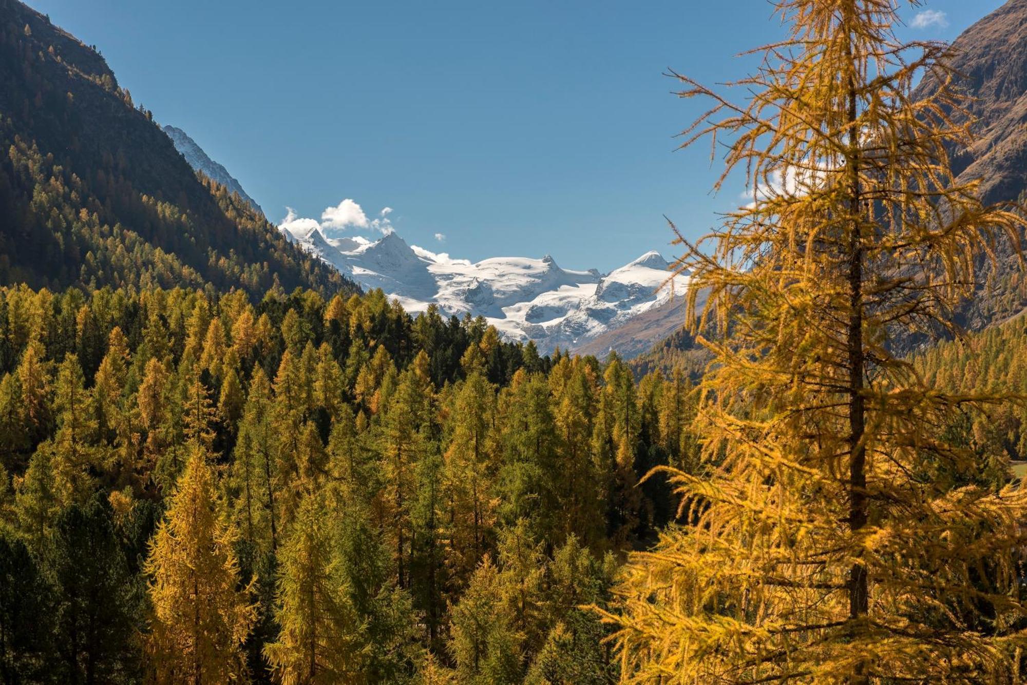 Hotel Saratz Pontresina Zewnętrze zdjęcie